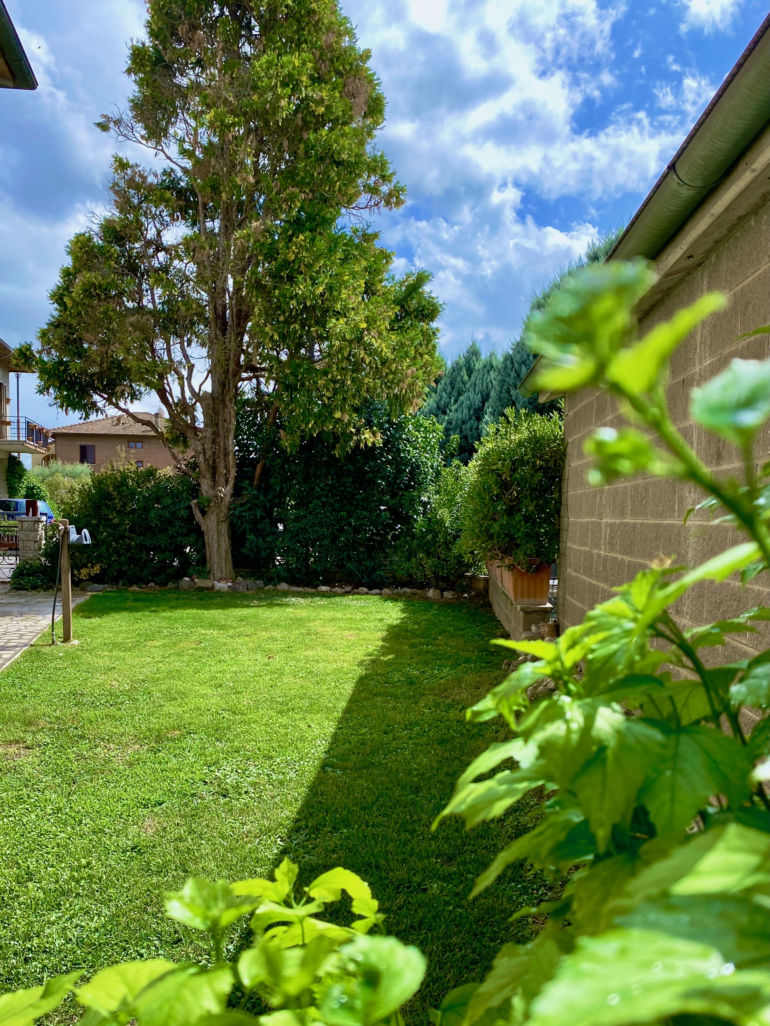 Another view of the Private garden